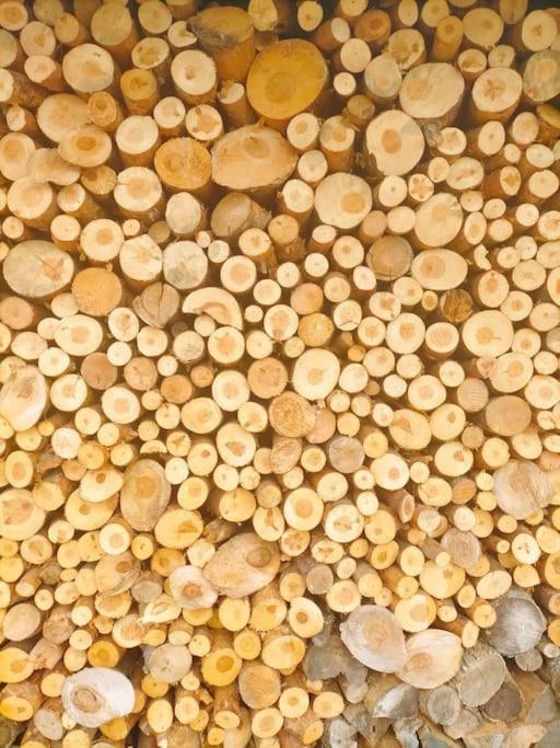 El Telar Arte Y Naturaleza Prádena エクステリア 写真